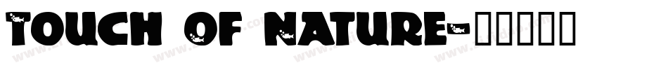 Touch Of Nature字体转换